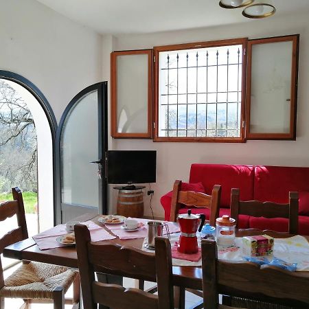 가브리클리아 Casa Pancole Il Tinello 아파트 외부 사진